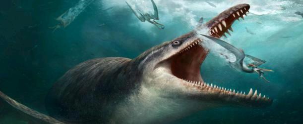 鲨鱼进化之悲歌:被其他霸主欺负亿万年的感觉,你们人类不会懂的