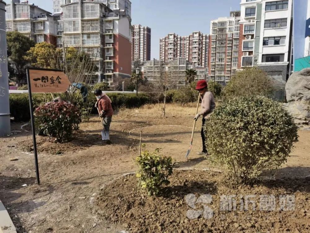 新沂的这个小区月底即将变身海绵小区