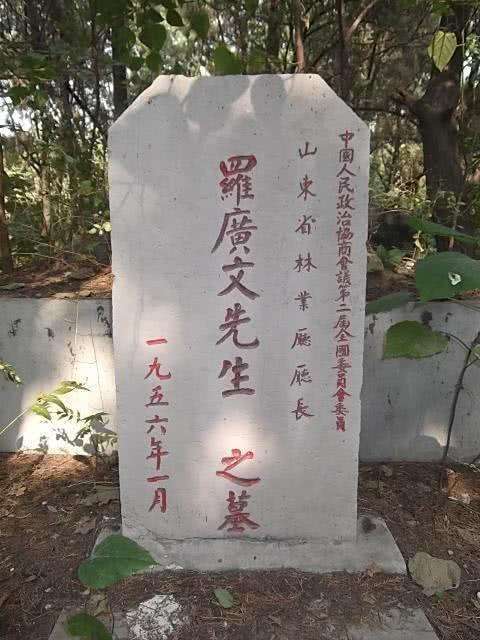 罗广文我与第十五兵团起义