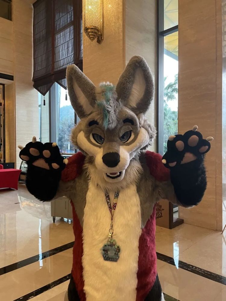 furry兽迷福瑞控为什么大家这么喜爱毛茸茸这一定是你所见过最全面的