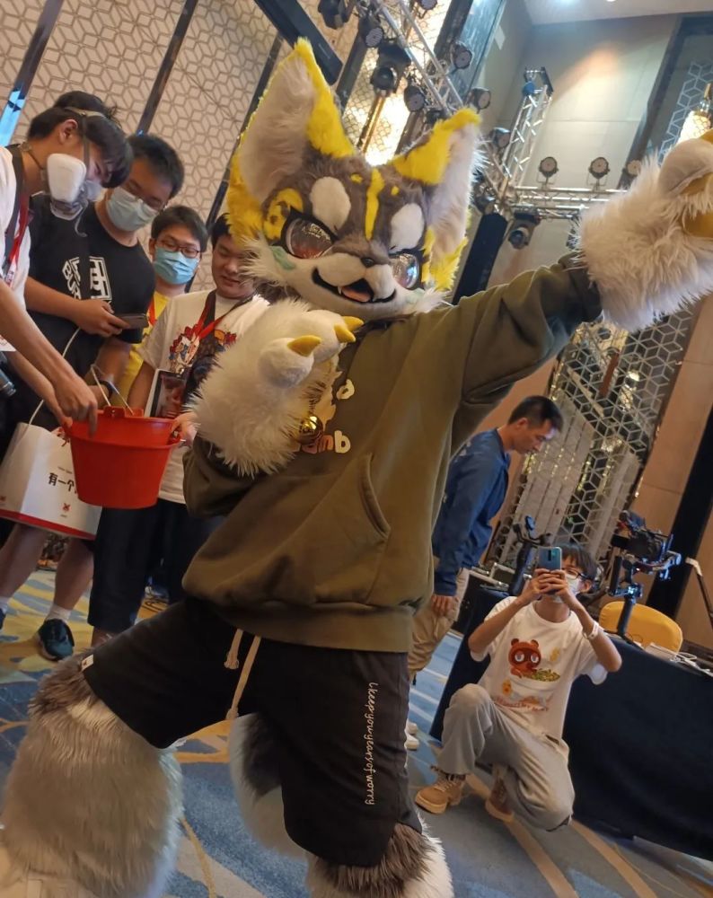 furry兽迷福瑞控为什么大家这么喜爱毛茸茸这一定是你所见过最全面的