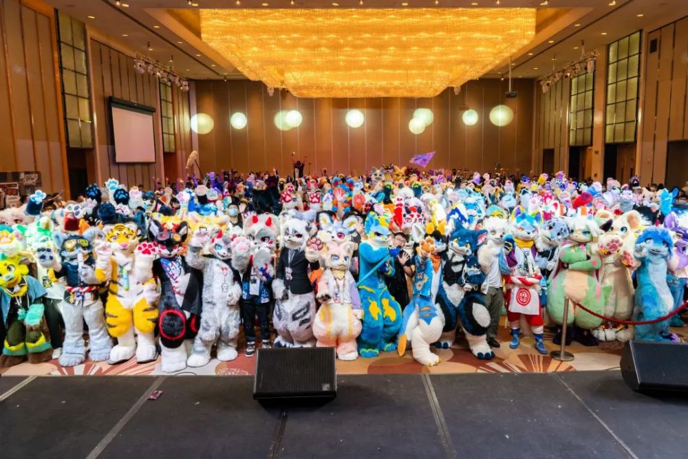 furry兽迷福瑞控为什么大家这么喜爱毛茸茸这一定是你所见过最全面的