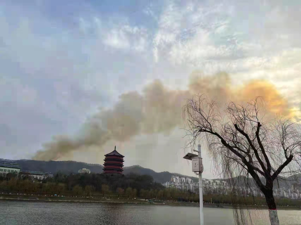 信阳贤突发火灾现场山火冲天全城烟雾弥漫附大量现场视频图片