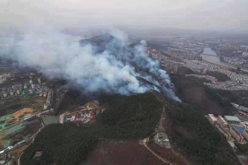 信阳贤突发火灾现场山火冲天全城烟雾弥漫附大量现场视频图片