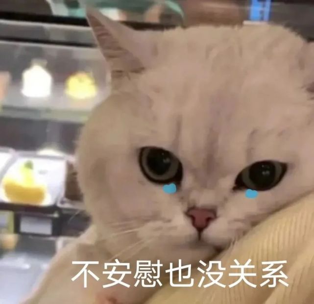 丸子妹头像,丸子妹壁纸,丸子妹背景图,sasa的丸子妹~可爱丸子妹表情包