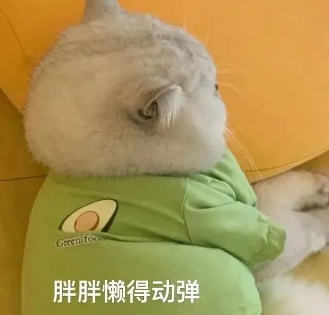 可爱动图表情包|回信息啊!