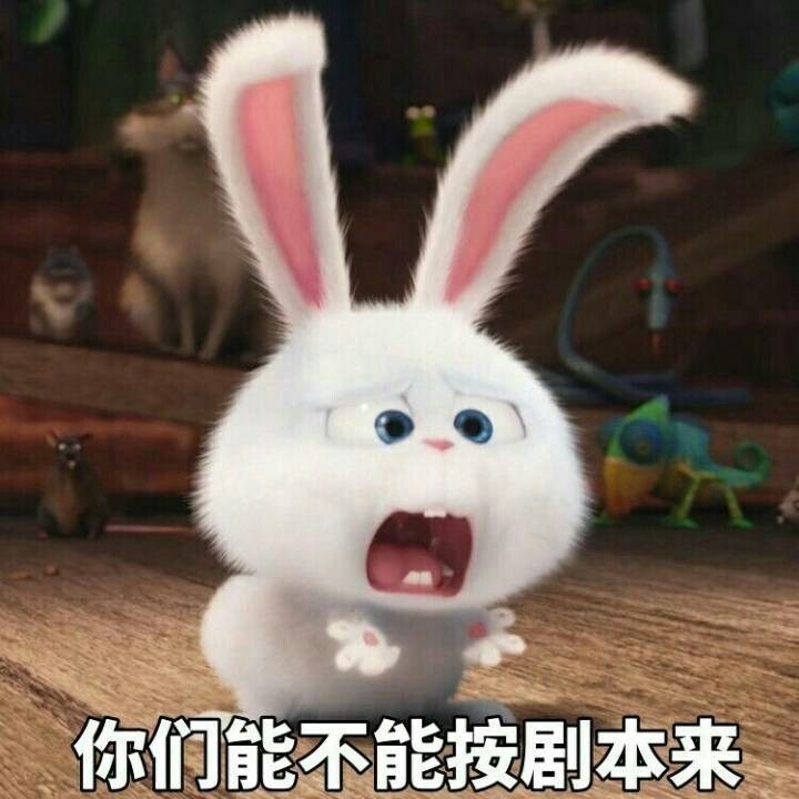 可爱小兔子表情0306