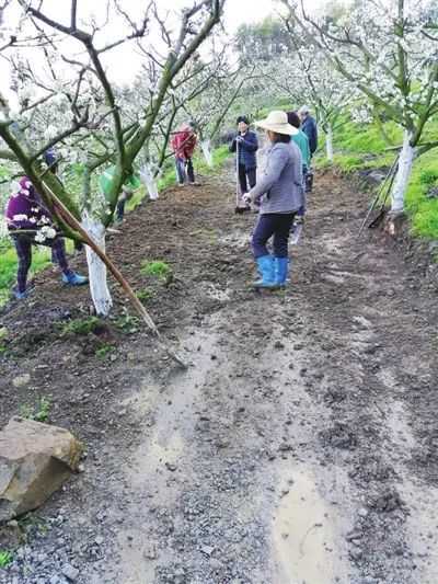 致富带头人余兴祥脱贫致富梦己圆乡村振兴不是梦