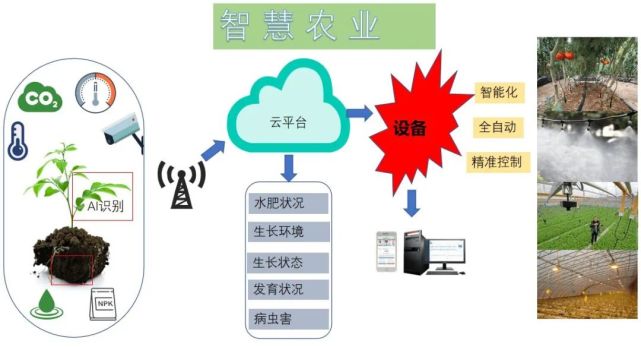 未来我国农业发展的大趋势:智慧农业到底带来了什么?