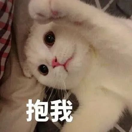 表情包你有本事就凶我吧我会躲到别人怀里哭