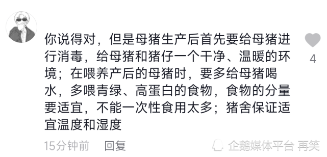 搞笑梗之母猪的产后护理