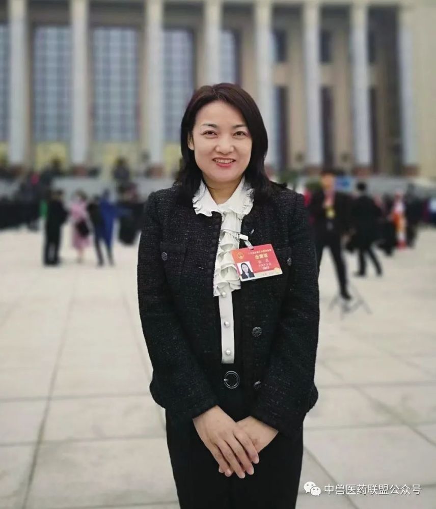 全国人大代表张莉挖掘中兽医药文化振兴中兽药产业