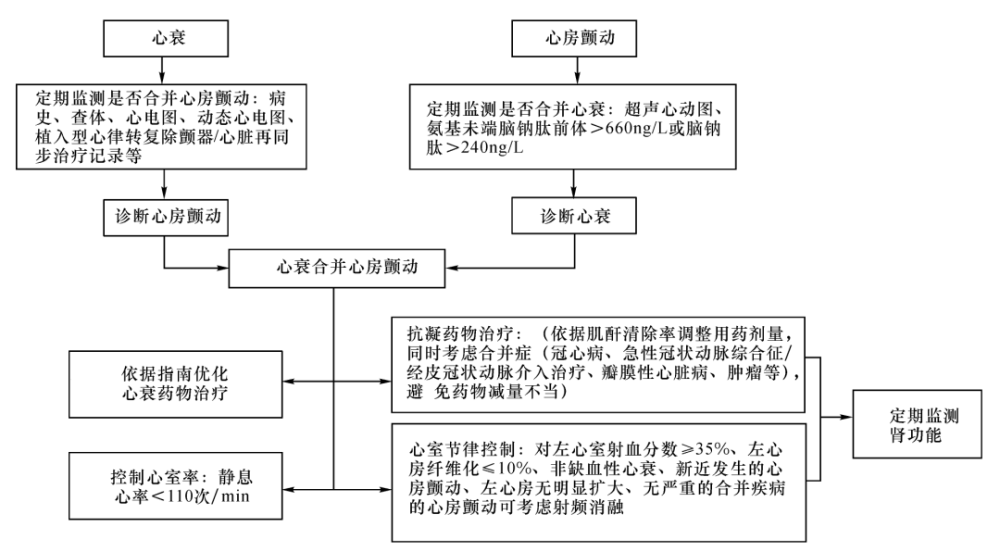 图2 慢性心衰合并心房颤动的治疗流程图3.