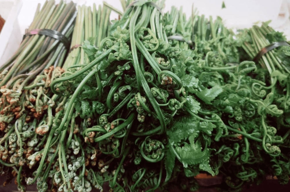 广东人最爱吃的6种野菜鲜嫩营养足季节性强错过又要等一年