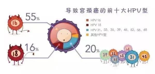 感染hpv宫颈癌妇科专家陆医生为你一站式解读hpv与宫颈癌那些事