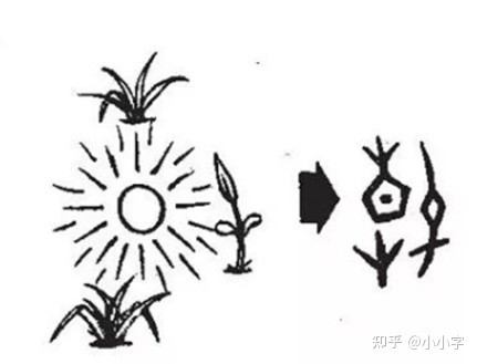 甲骨文是象形文字,我们可以把最早的字画一幅图.