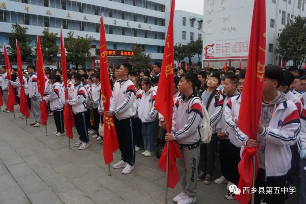 西乡五中研学踏青樱桃花海