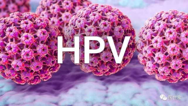 宫颈癌是人乳头瘤病毒(简称hpv)的持续感染导致的,是目前所有肿瘤之中