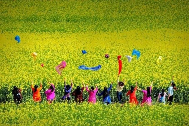 红色白沙·金色田园丨2022古蔺双沙第十三届菜花节3·12盛大开幕!