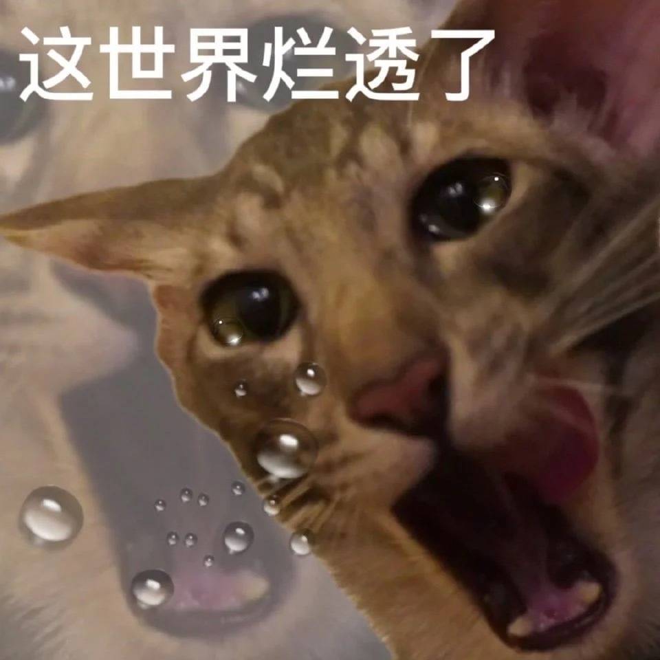 表情包一组沙雕可爱表情包emo了