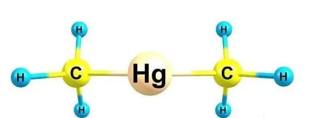 66,从分式子就可看出,二甲基汞分子体积和质量都不小,由两个碳原子和6