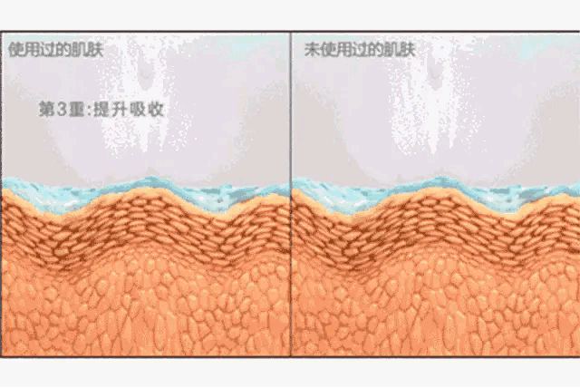 成分表里不含任何防腐剂等,适用于任何肌质.