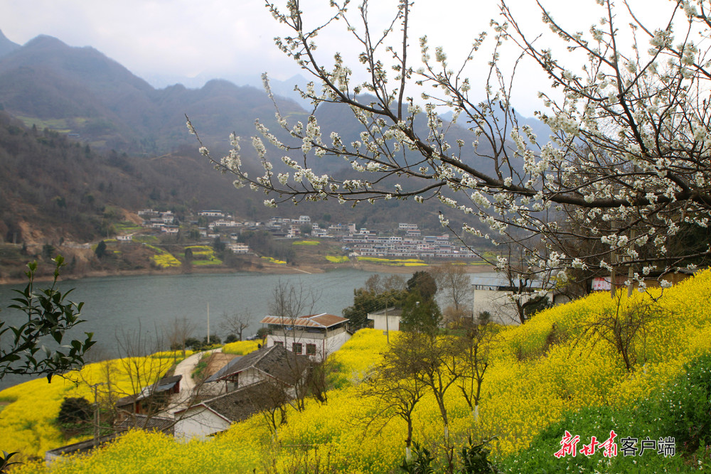 春天的文县范坝镇让水河畔景色旖旎,秀岭连绵,风暖心沁,两岸青山,勃勃