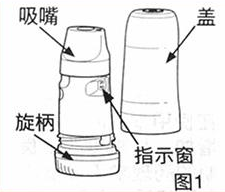 呼吸道疾病如何吸入给药这几种吸入装置认识一下