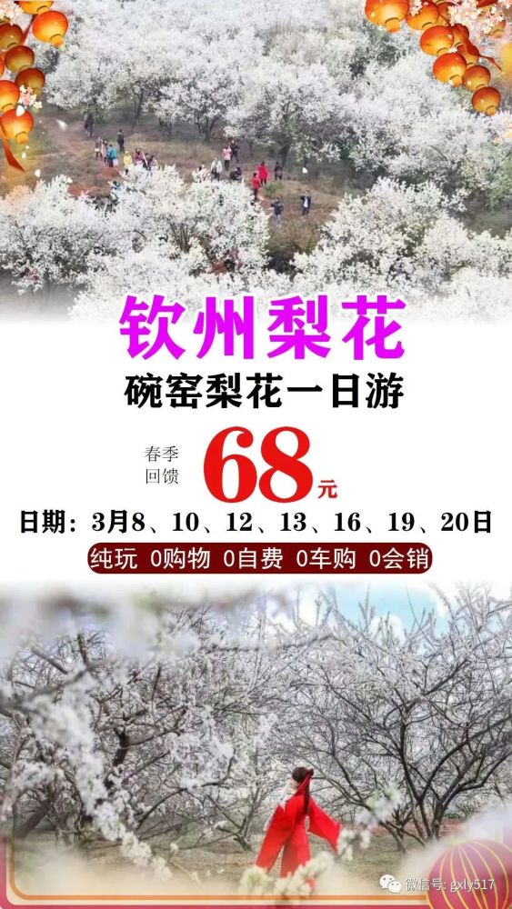 2022年3月4日忽如一夜春风来千树万树梨花开钦州碗窑梨花开啦