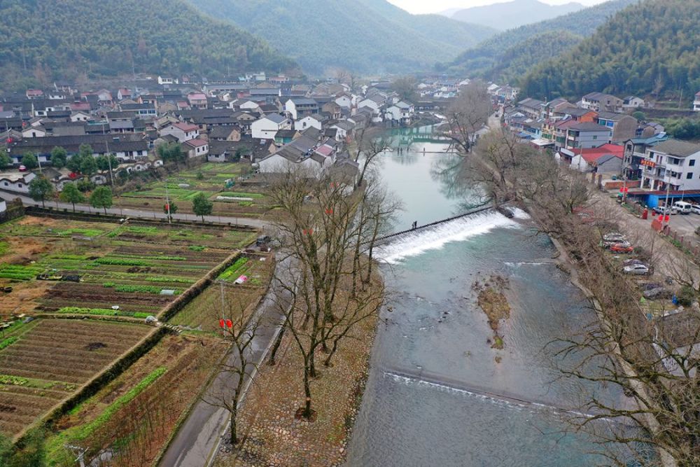 余姚晓云村褚相后裔聚居地梅花正艳