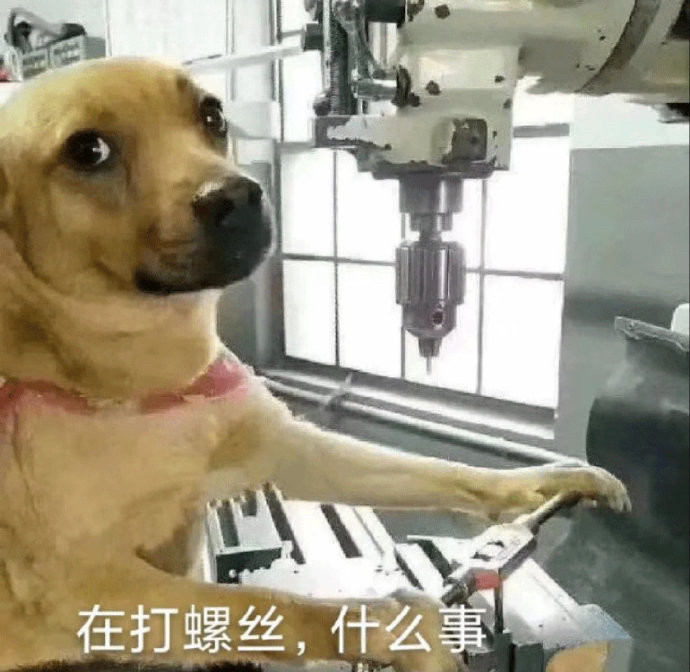今日份沙雕表情包在打螺丝什么事