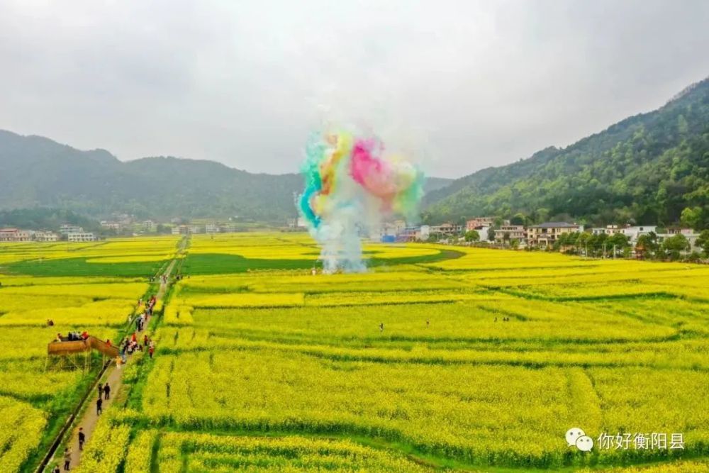 衡阳县2022油菜花节时间定了