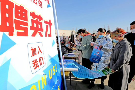上海物流招聘_国内船舶运输价格 国内船舶运输批发 国内船舶运输厂家(3)