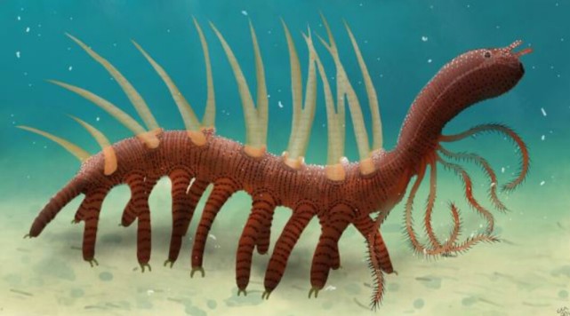 生活在5亿年前的异形生物,至今不知头在何处|欧巴宾海蝎|怪诞虫|科学