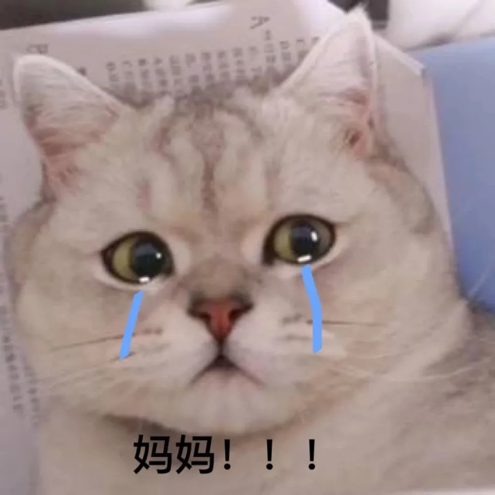 妈宝女可爱表情包