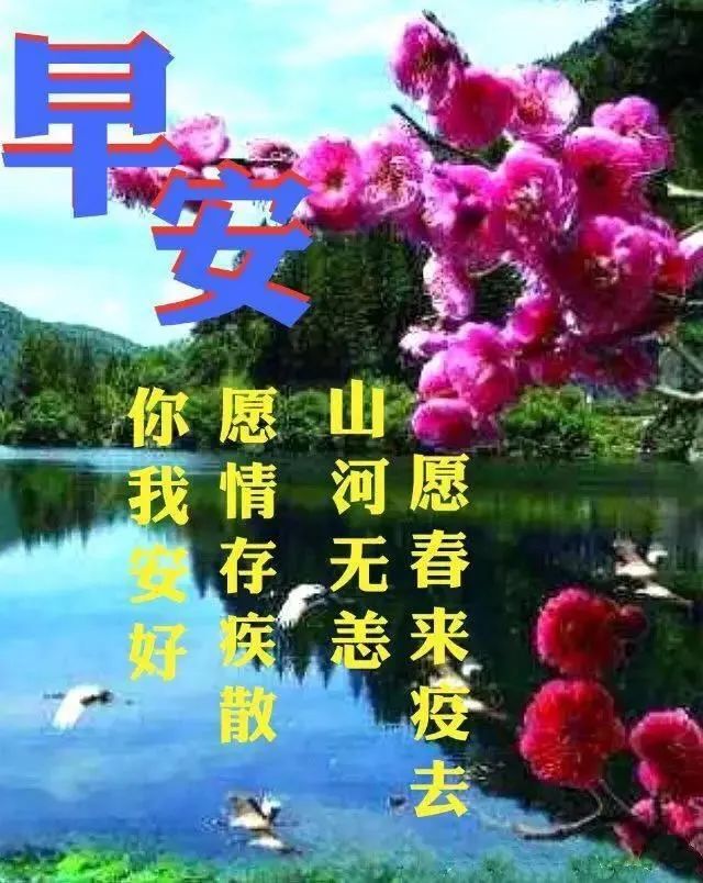 10日星期五漂亮最新版早安祝福图片微信群发暖人心的周五早上好问候语