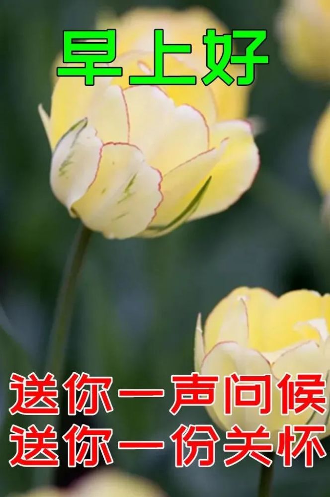 2022年3月10日特漂亮最新版早安动态图片阳春三月早上好祝福语句子