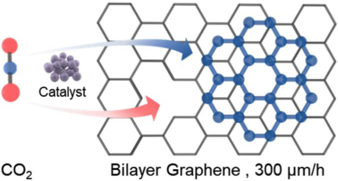 通讯作者:孙正宗,李巧伟通讯单位:复旦大学文章doi:10.