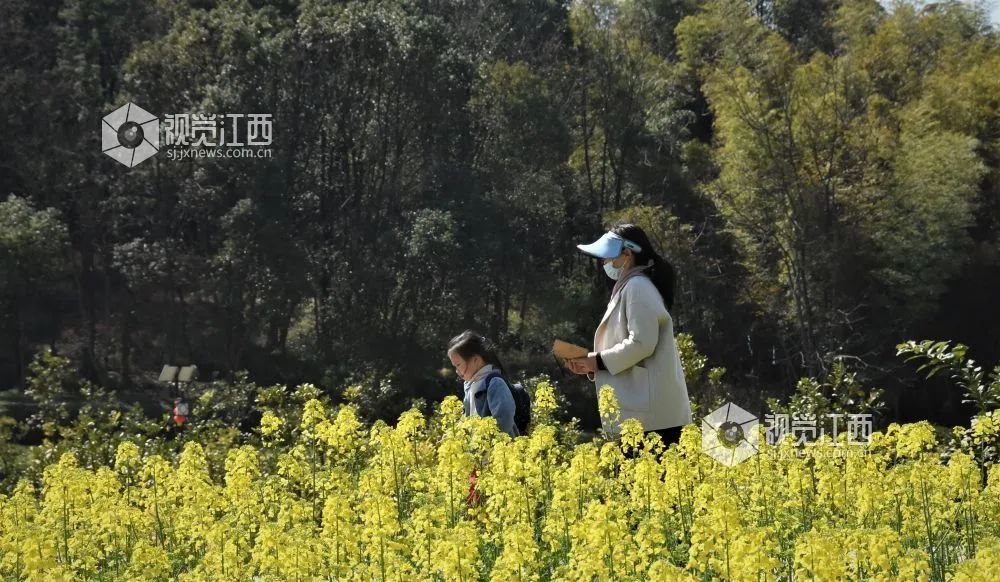 春暖花开鄱阳狮子山依山傍湖景色宜人