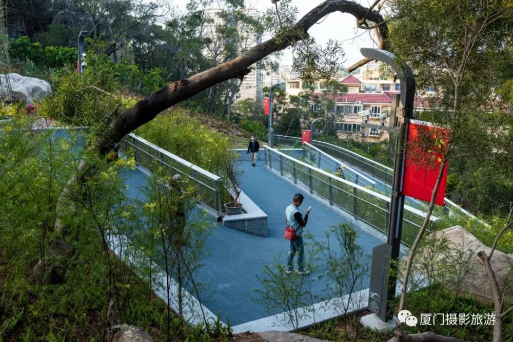 目前厦门山海健康步道林海线(b线,经金山,湖边水库,忠仑公园,云顶