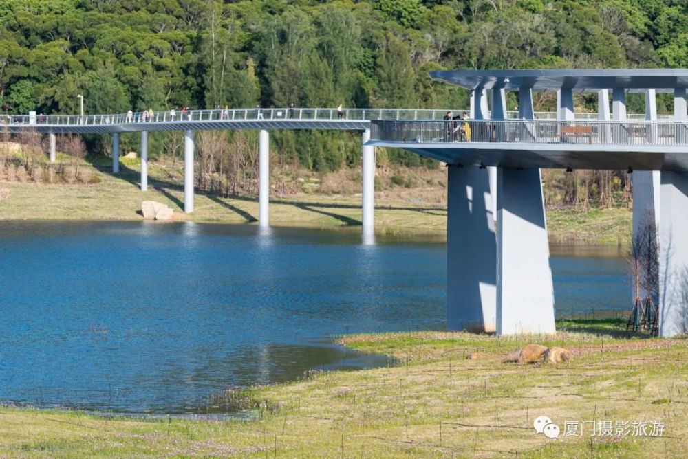 美丽厦门山海健康步道林海线b线最美的一段东坪山水库