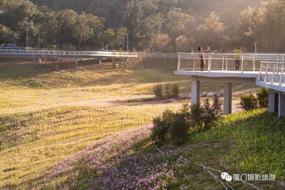 美丽厦门山海健康步道林海线b线最美的一段东坪山水库