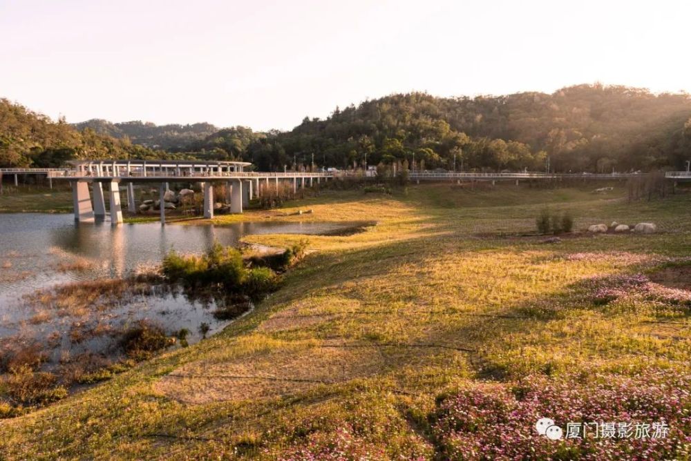 目前厦门山海健康步道林海线(b线),经金山,湖边水库,忠仑公园,云顶