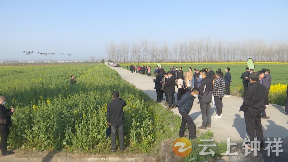 会前,与会人员观摩了柴湖镇群益村油菜田管现场和天堂村小麦田管现场.