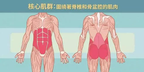 身边好医生│健身的你走没走心核心肌群锻炼到位才有效