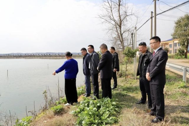 岳阳县:检察长巡湖,守护碧水绿岸