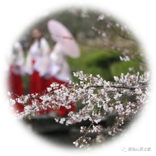 3月14日花朝节,雅集茶会舞翩跹,12花神约起来