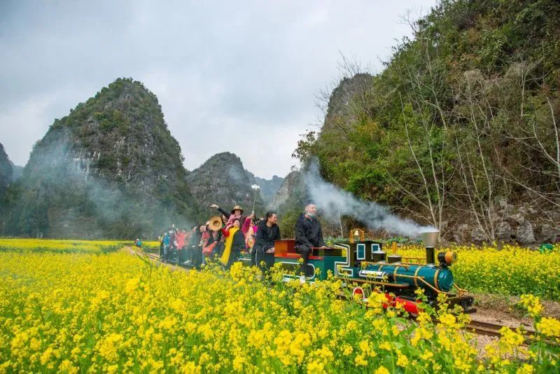 2022年度贵州油菜花海名单新鲜出炉你最pick哪一个