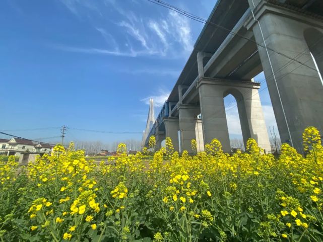 中心 宁波北货场 梁力合福高铁旁匡河美景 任新志潘集站附近铁路线