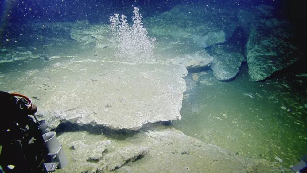 6-14岁必读的海洋知识|盘点深海冷泉中的5种神奇生物_腾讯新闻